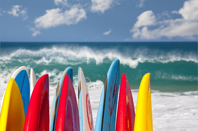 1.5-Hour Surf Lesson in Santa Monica - Starting at the Santa Monica and Venice border