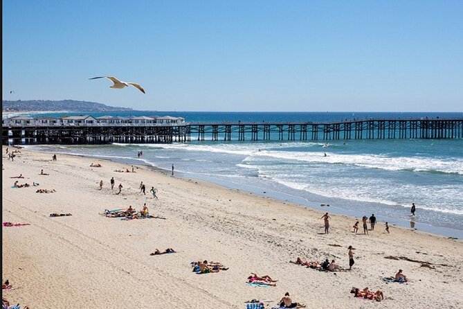 1 Day Adult Surf Retreat in San Diego - Ryan’s teaching style and what it means for you