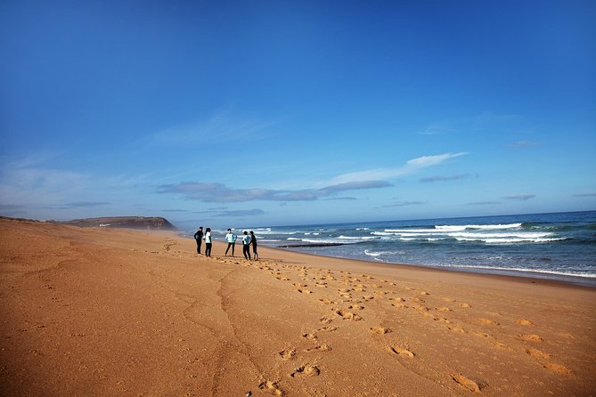 1 day surfing with Atlantic Coast Surf School - Key points at a glance