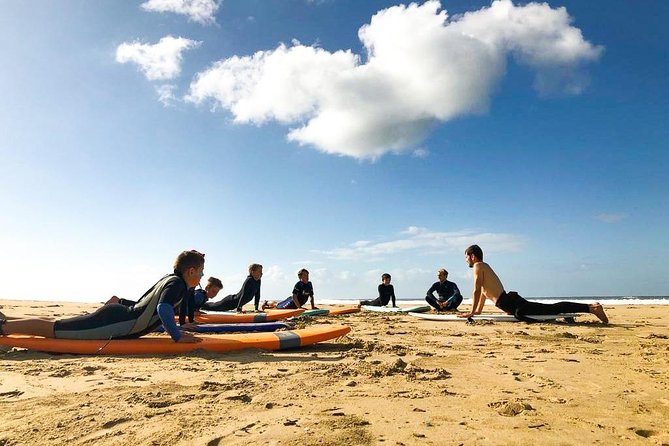 1h15min surfing lessons in Victoria Bay & Wilderness - How the $34.69 price measures up