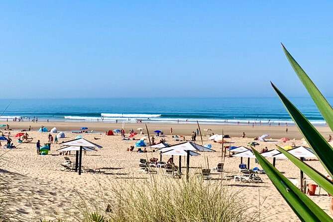 2 Hours Surf Rentals in Costa da Caparica - Who will enjoy this rental most?