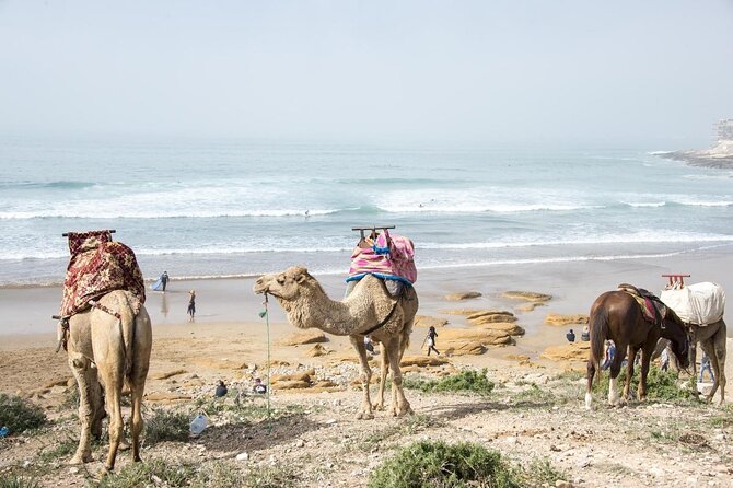 7 nights Surf Coaching Package in Morocco - Key points to know before booking
