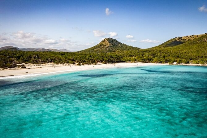 Afternoon Snorkel & Paddle Surf Experience in a Secret Spot - Practical details that affect your decision
