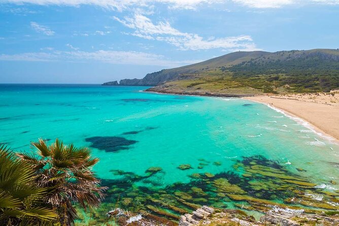 Afternoon Snorkel & Paddle Surf Experience in a Secret Spot - Learning the basics before you paddle