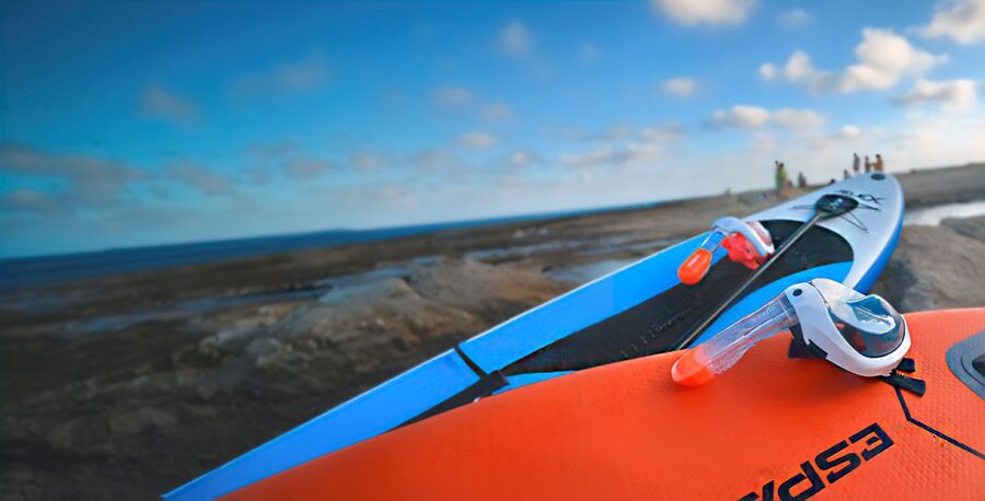 Alicante: E-Bike, Snorkeling and Paddle Surf Tour - La Albufereta and its Roman fish farms