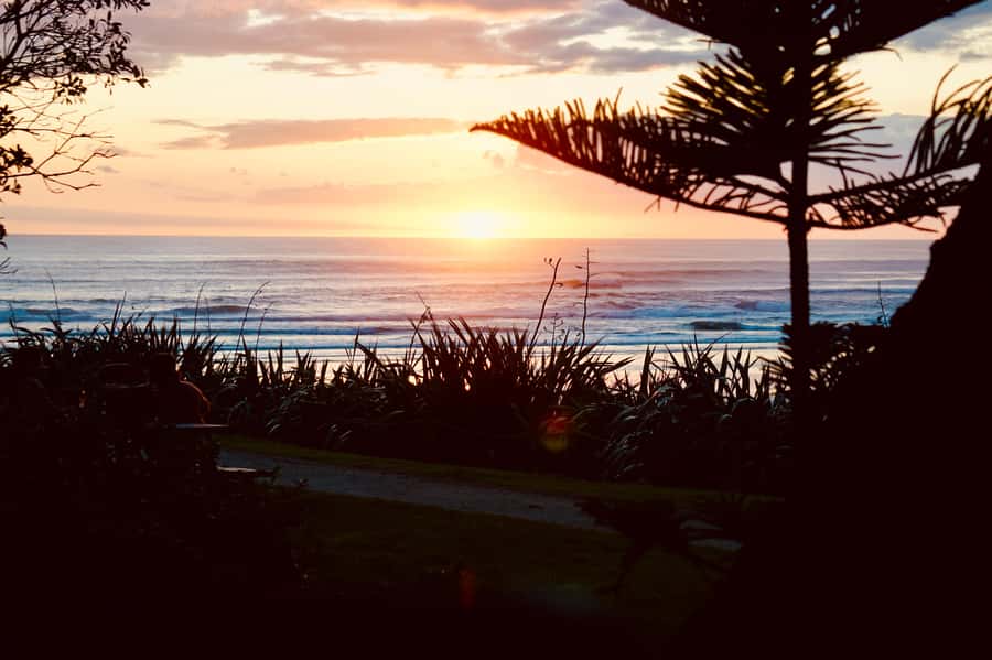 Auckland: Group Surfing Lesson with Muriwai Surf School - Getting your first rides with help in the water