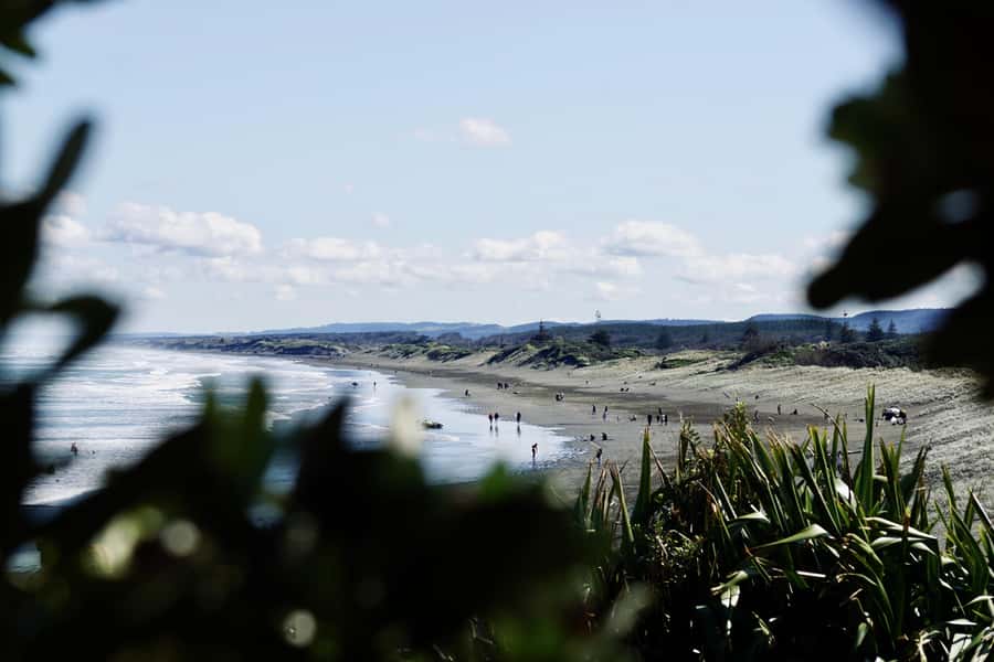 Auckland: Group Surfing Lesson with Muriwai Surf School - The teaching style: patient help matters more than hype
