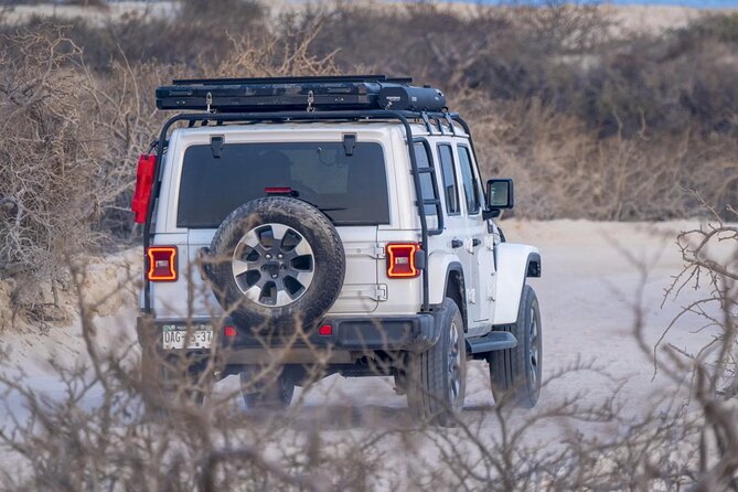 Baja Surf Expeditions - Beach comfort that saves you from packing half the hotel