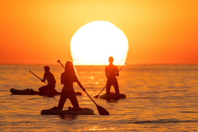 Barcelona: Sunrise Paddle Surf with Instructor and Photos - Who should book this experience?