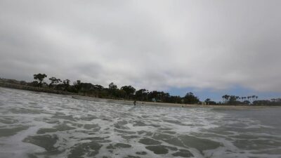 Cali: Surfing Lesson with Local Instructors