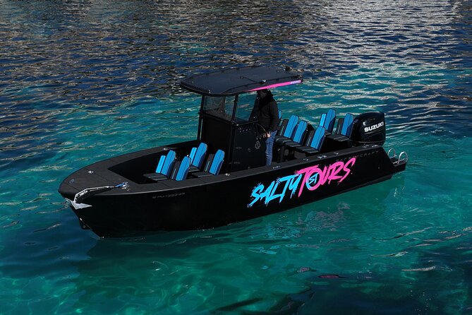 Charter Tour of Palma Bay: Snorkeling and Paddle Surfing - Who should book this Palma Bay outing?