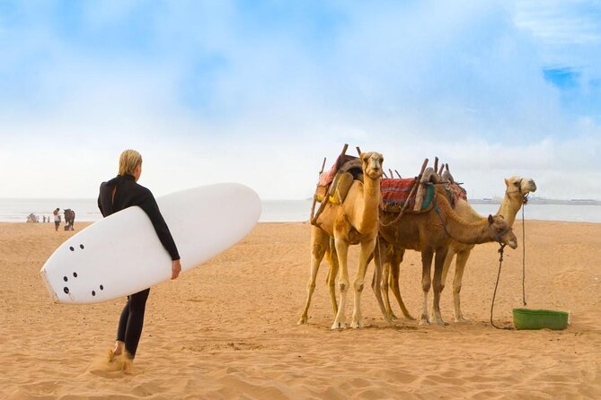 Essaouira Day Trip From Marrakech Including Surf Training - Key points to know before booking