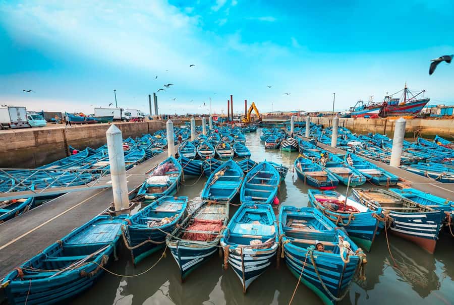 Essaouira: Surf Trip from Marrakech - Key points to know before booking