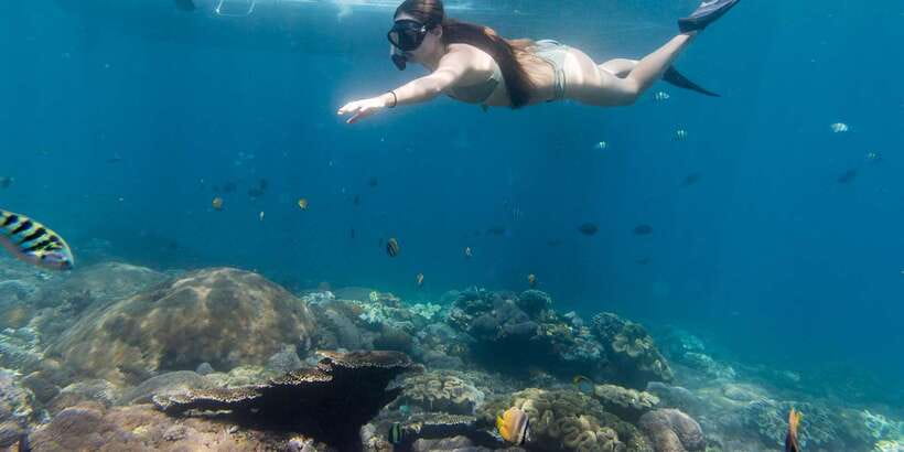 From Bali: 4-Day Surf and Yoga Retreat in Nusa Lembongan - Should you book the Nusa Lembongan retreat?