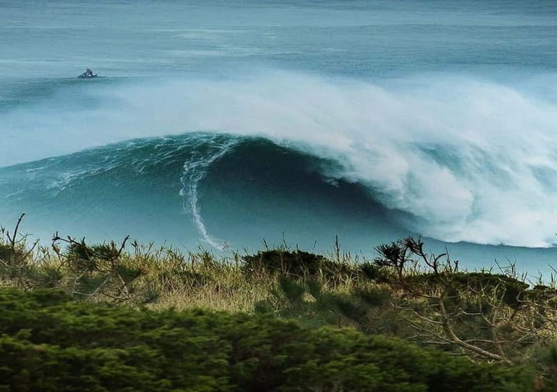 From Lisbon: Nazaré – Portugal’s Giant Waves Surf Tour - Key points to know before booking
