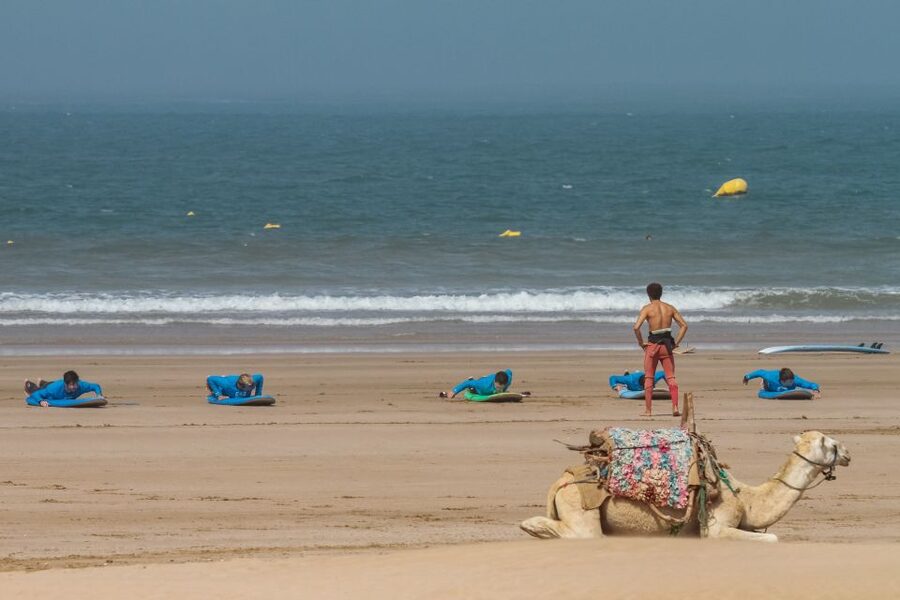 From Marrakesh: Essaouira Surfing Day Trip - The beachside lunch break