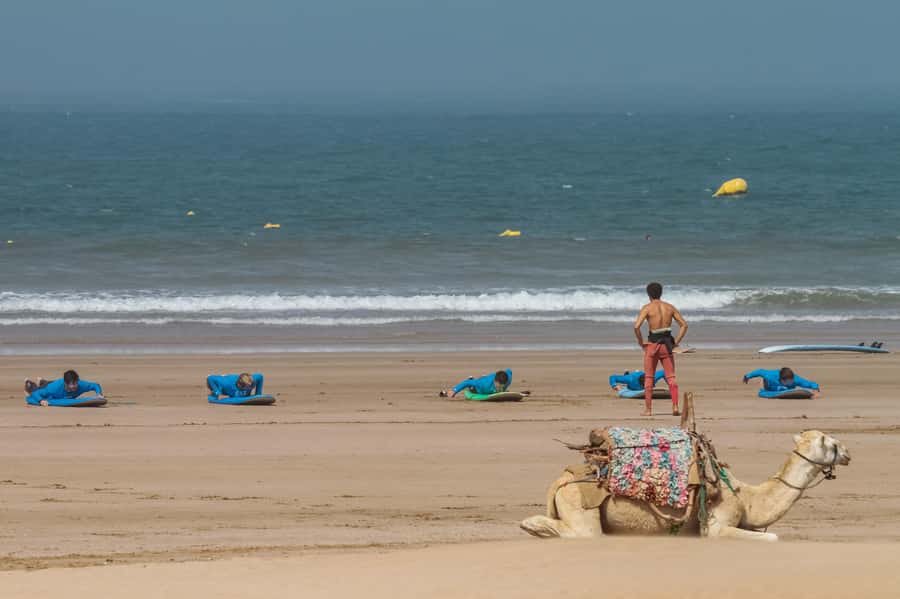 From Marrakesh: Essaouira Surfing Day Trip - The early start and two-hour road trip from Marrakesh