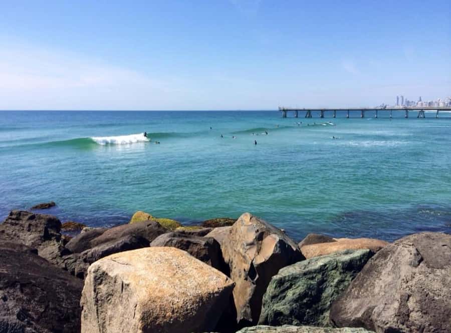 Gold Coast: Private Surf Lesson at The Spit - What happens during the 90-minute lesson
