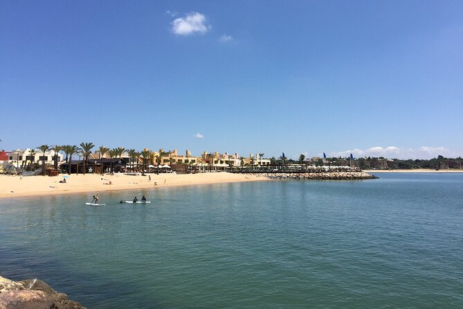 Group Surf Lesson @Praia da Rocha - Who will enjoy this Portimão surf lesson