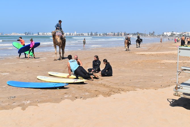 Initiation Group Surf - Taking the board into Essaouira Bay