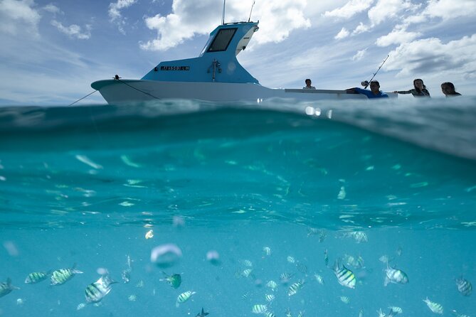 Kayak, Snorkel, and Surf with Turtles in Honolulu - Why this Waikiki outing feels different