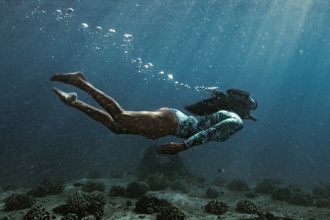 Kayak, Snorkel, and Surf with Turtles in Honolulu - The local touch after the water