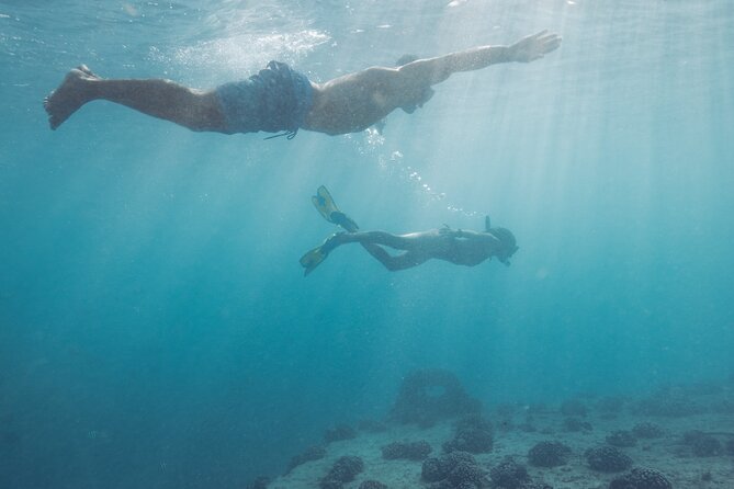 Kayak, Snorkel, and Surf with Turtles in Honolulu - What the $200 price gets you