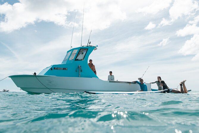 Kayak, Snorkel, and Surf with Turtles in Honolulu - Snorkeling at Turtle Canyon