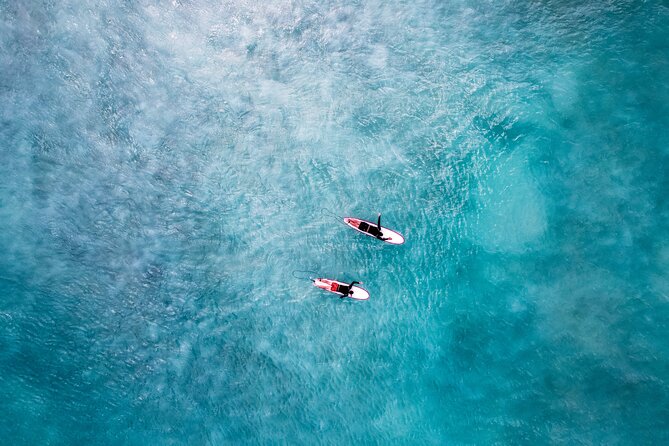 Learn to Surf in Paradise. - Moving into the water at Drill Hall or another beach
