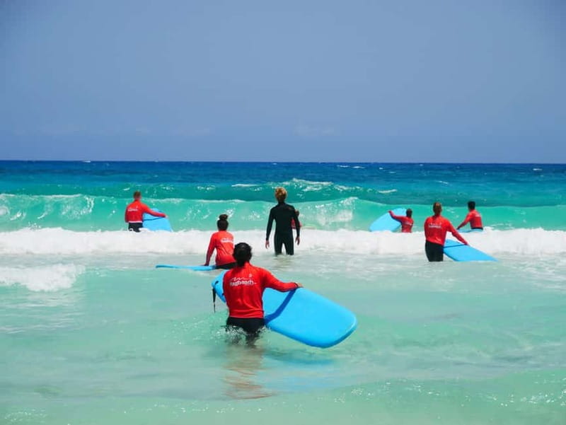 Learn to Surf in the north of Fuerteventura! - Four hours or three days on the beach