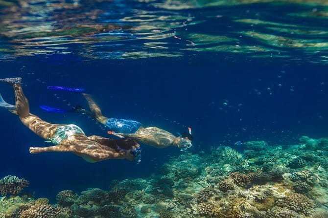 Learn to surf with Fuvahmulah Surf School - The instructors and learning style