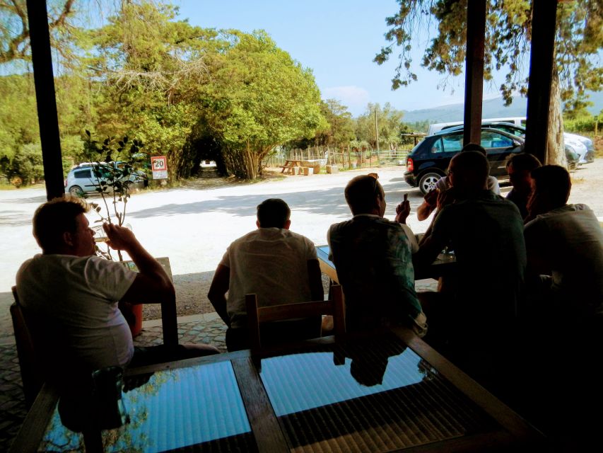 Lisbon: Surf or Bodyboard and Wine Tasting - What the $106 price covers