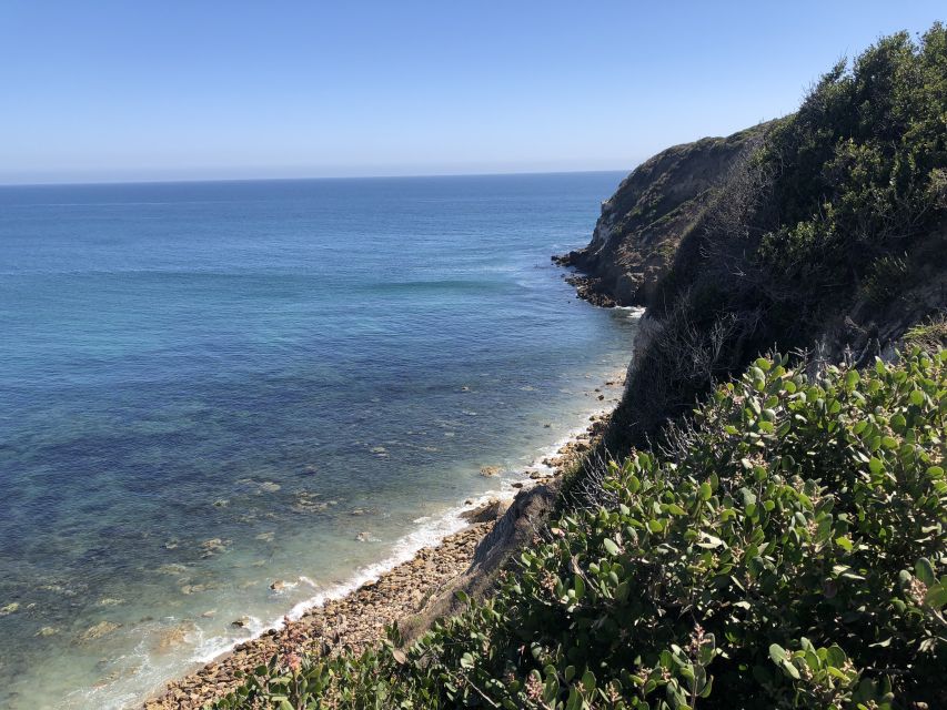 Malibu Beach: Surf Tour in a Vintage VW Van - Lunch beside the VW campervan