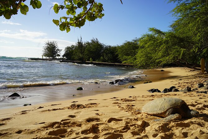North Shore Surfing Lessons Oahu Hawaii - Is the $120 price good value?