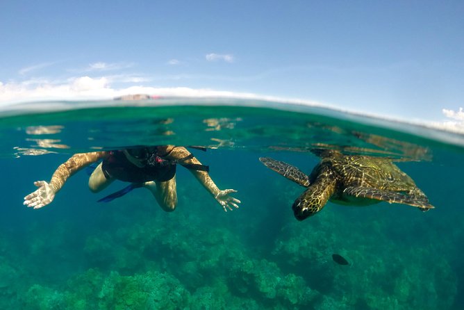Paddle, Snorkel and Learn to Surf: All in a Day on Maui - The best parts of this Maui water day