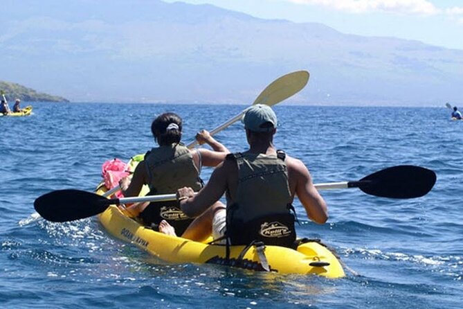 Paddle, Snorkel and Learn to Surf: All in a Day on Maui - Forty-five minutes of snorkeling over the reef