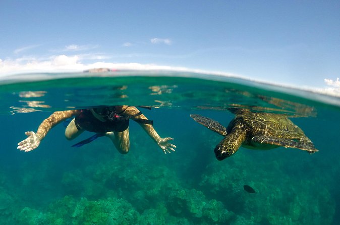 Paddle, Snorkel and Learn to Surf: All in a Day on Maui - Who should book this experience?