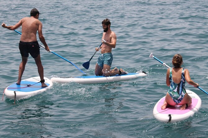 Paddle Surf - Key points at a glance