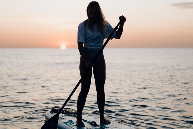 Paddle surf guided session - The shore briefing before you paddle