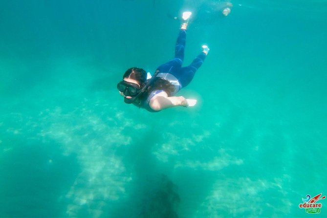 Paddle Surf Route Cliffs Nerja and Cascada de Maro + Snorkel - Is $34.76 good value?