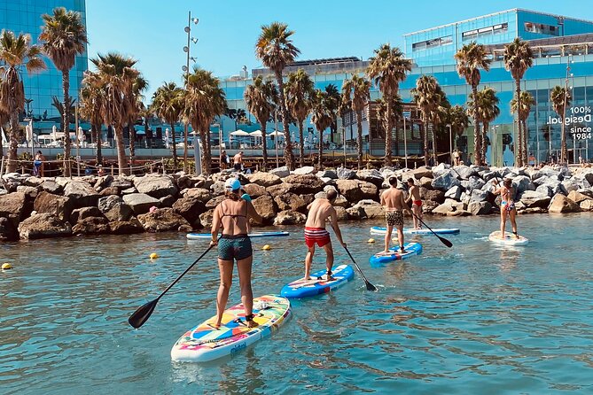 Paddle Surfing in Barcelona - Who may find it disappointing