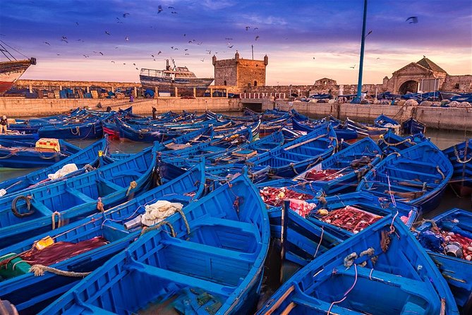 Premium Surf Trip to Essaouira from Marrakesh - Key points to know before booking