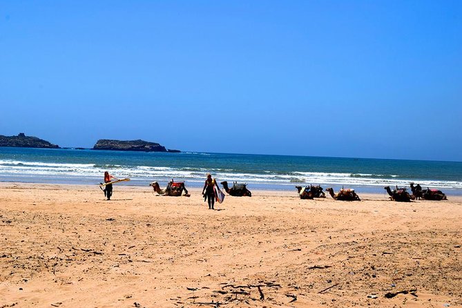 Premium Surf Trip to Essaouira from Marrakesh - Why Essaouira makes a good break from Marrakech