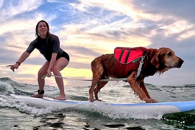 Private 1-on-1 Surf Lesson with Videos and Photos - Diamond Head, Waikiki, and Honolulu in context