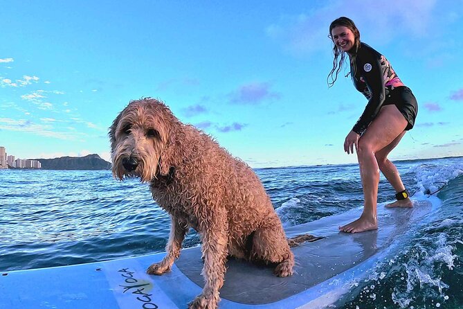 Private 1-on-1 Surf Lesson with Videos and Photos - Is $160 a fair price?
