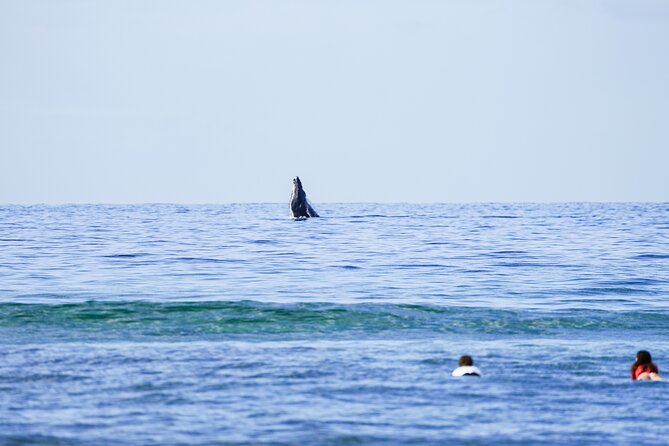 Private 2 hour Surf Lessons with Experienced Coaches - Ninety minutes in the water with one coach
