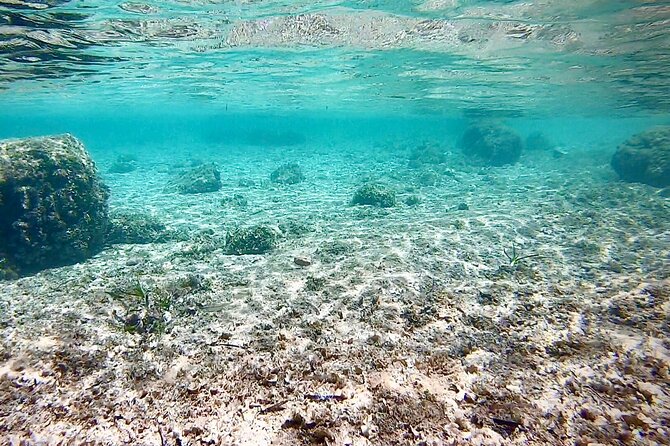 Private Boat Tour from Palma with Snorkeling and Paddle Surfing - Timing, weather, and practical planning