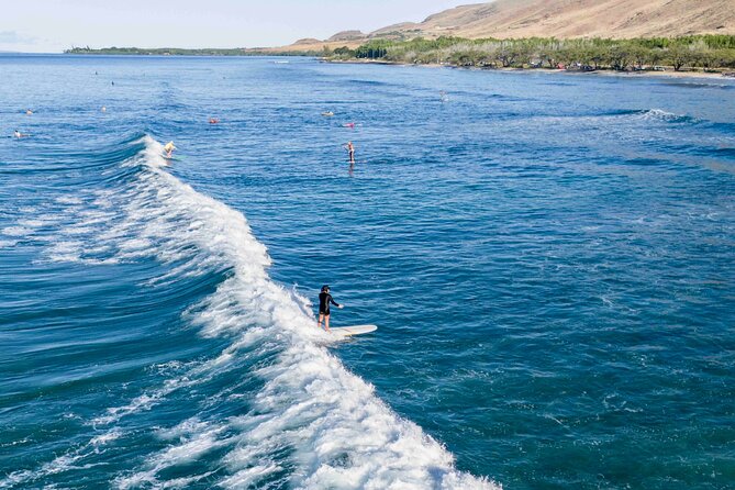 Private Surf Lesson in Lahaina - First learn safety and technique on shore