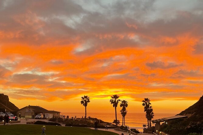 Private Surf Lesson Solana Beach Ride the Waves Fletcher Cove 2hr - Fletcher Cove Park and the first look at the water