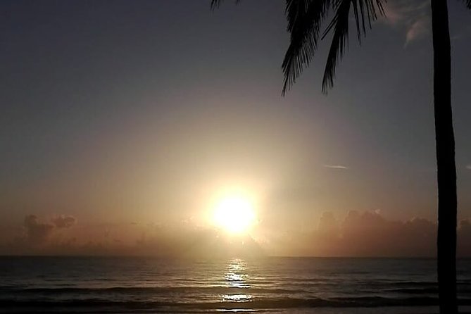 Professional surf lessons Dominican Republic, Cabarete, Encuentro - Why Encuentro is a good place to start surfing